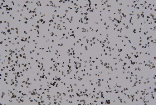 Global Micropowder Market Analysis (2026–2035):...