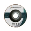 Discos de láminas de circonio 125 mm3